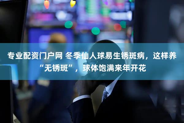 专业配资门户网 冬季仙人球易生锈斑病,这样养“无锈斑”,球体饱满来年开花